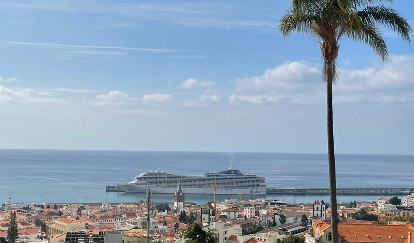 msc-porto